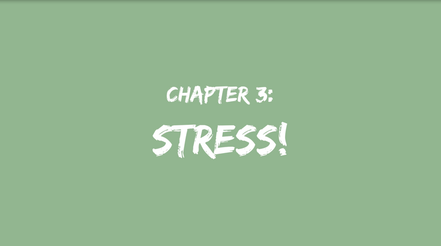 Chapter 3: Stress and health